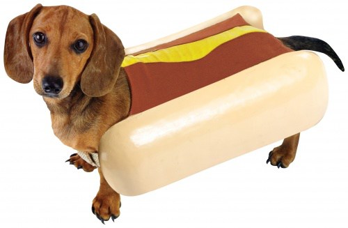 Perro en traje de hot dog