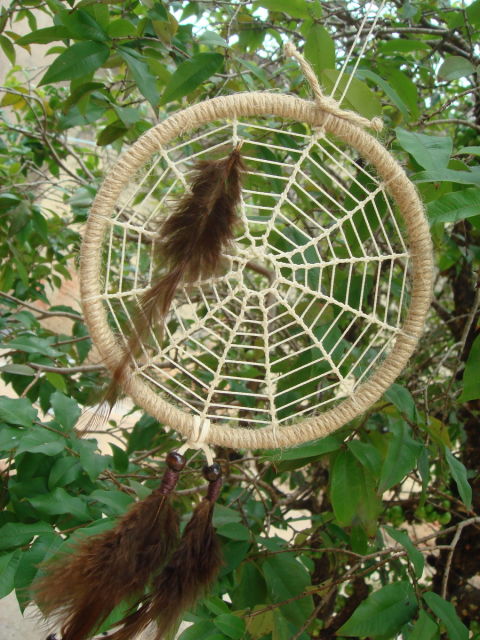 modelo de tela de araña