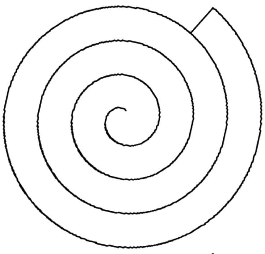 Molde de flor en espiral