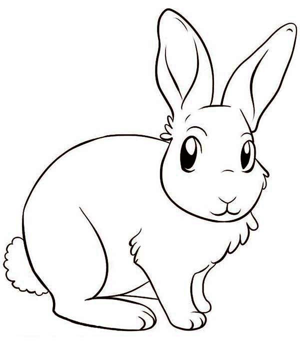 Dibujo de conejitos de pascua para colorear