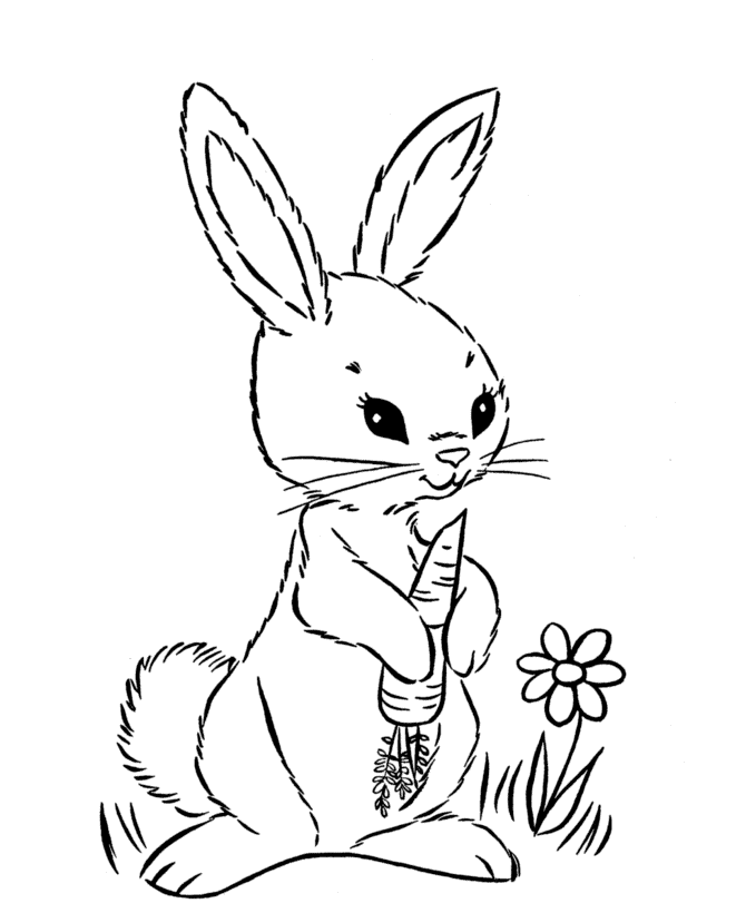 Dibujo de conejitos de pascua para colorear